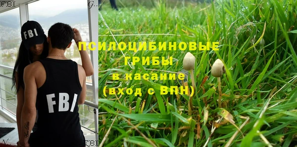 дживик Елизово