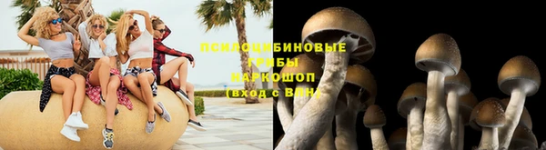 прущий лед Ельня