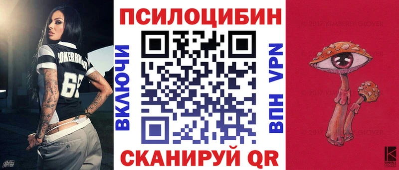 гидра зеркало  Жуковский  Псилоцибиновые грибы Psilocybe 